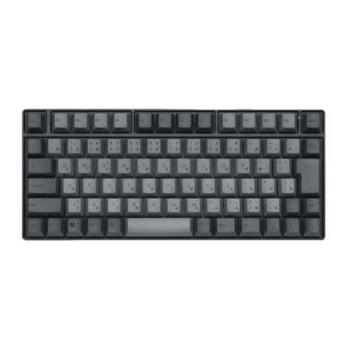 REALFORCE RC1 キーボード 70% ブラック 日本語配列 キー荷重 45g Bluetooth 有線 バッテリー コンパクト C1HJ11
