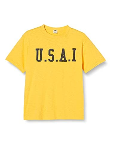 [アルファインダストリーズ] A.I PHYS.ED ビンテージプリントTシャツ