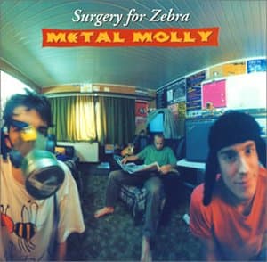 サージェリー・フォー・ゼブラ