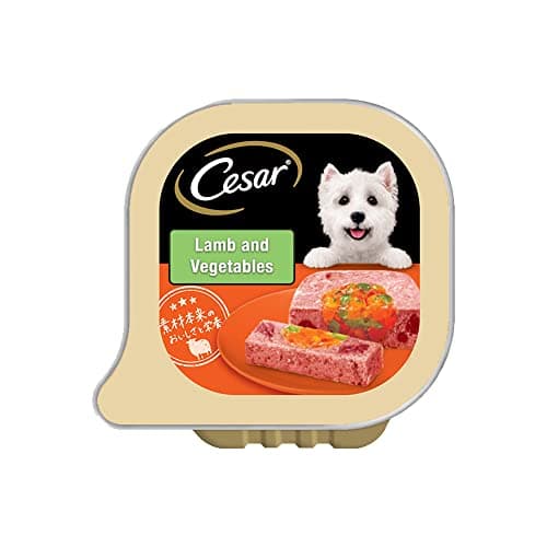 シーザー トレイ 成犬用 100g×24個 まろやかラム 野菜入り 水分補給 ふわふわローフタイプ 総合栄養食 ウェットフード ドッグフード 缶詰
