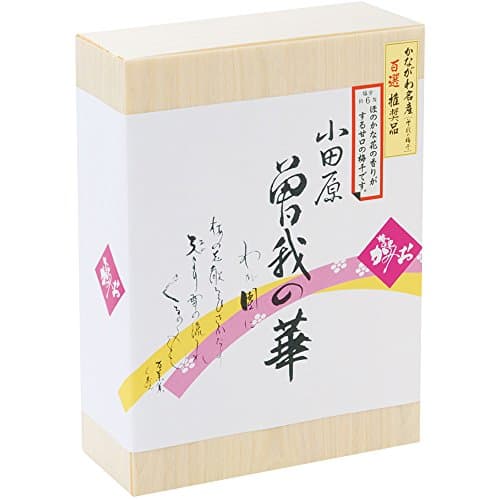 神尾食品工業 曽我の華 6個入