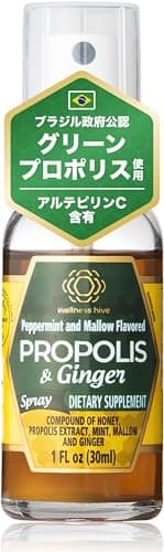 プロポリススプレー 30ml ウェルネスハイヴ プロポリスジンジャー はちみつ 生姜エキス配合 ブラジル産グリーンプロポリス