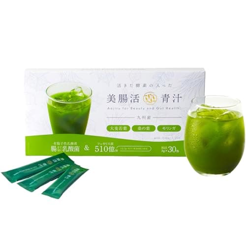美腸活青汁 30包×1箱 九州産 粉末 無添加 農薬不使用 乳酸菌 モリンガ 大麦若葉 桑の葉 発酵性食物繊維 酵素配合 ノンカフェイン 国産