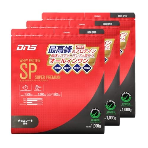 DNS ホエイプロテイン SP チョコレート風味 3kg オールインワン 国内製造 HMB グルタミン アルギニン シトルリン 筋トレ