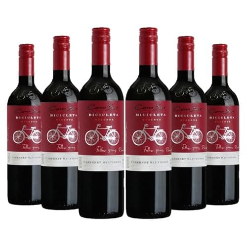 【6本まとめ売り】コノスル カベルネソーヴィニヨン ビシクレタ レゼルバ [ 赤ワイン フルボディ チリ 750ml×6本 ]
