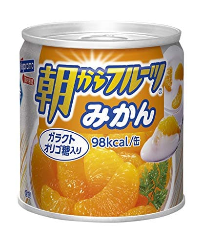 朝からフルーツ みかん 190g ×24個