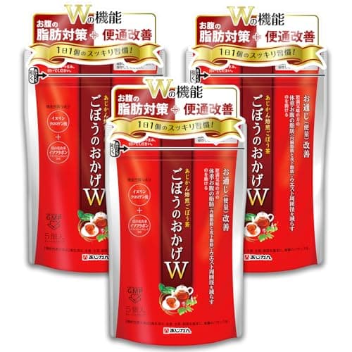 【公式】 機能性表示食品 ごぼうのおかげW(ダブル) 5個ｘ3袋 15個 （1個あたり300mL分) あじかん ごぼう茶 葛花 便通改善 お腹