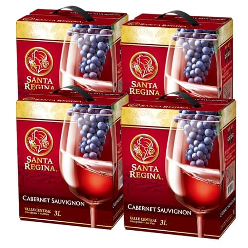 サンタ・レジーナ カベルネソーヴィニヨン ケース売り 箱入りワイン(バッグインボックス) [ 3000mlx4本 ]