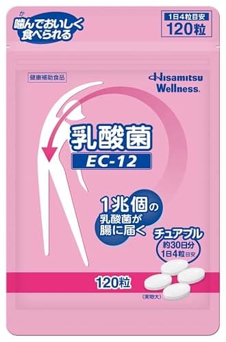 Hisamitsu 乳酸菌 EC-12 チュアブル 120粒 1日4粒に1兆個の乳酸菌 ヨーグルト100個分