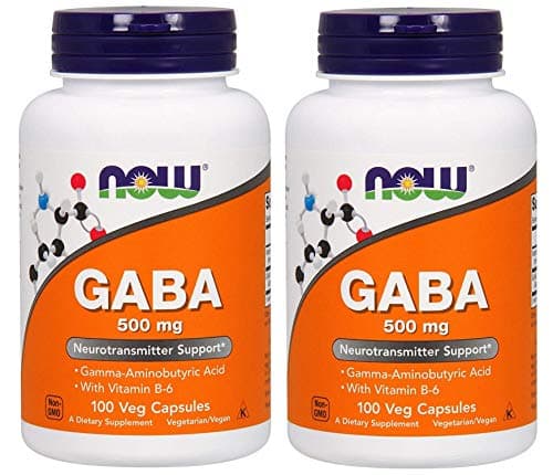 2本セット GABA ガンマアミノ酪酸、500 mg、100粒 ナウフーズ Now Foods [並行輸入品]