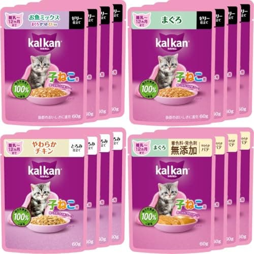 カルカン パウチ 子猫用 60g×16袋 売れ筋お魚・お肉バラエティ ウェットフード キャットフード 総合栄養食 水分補給 アソート メール便
