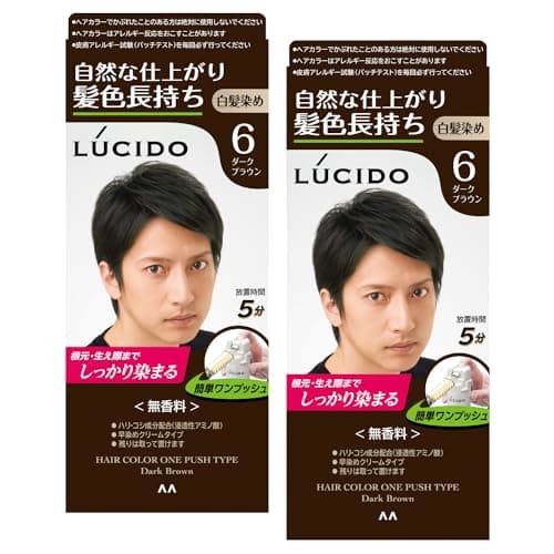 LUCIDO(ルシード) 【まとめ買い】ワンプッシュケアカラー(医薬部外品) メンズ用 ショートヘア約4回分 白髪染め 無香料 ダークブラウン セット 2個 (x 1)