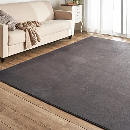 アイリスプラザ フランネルラグ ダークグレー 200×250㎝ 滑り止め付き ラグ 洗える ラグカーペット マット カーペット対応 防ダニ フランネル さらフワ触感 おしゃれ 北欧 じゅうたん