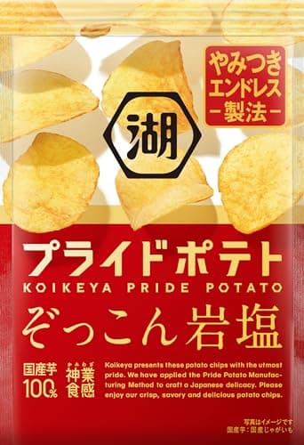 湖池屋プライドポテト ぞっこん岩塩 55g✕12袋