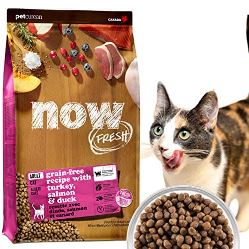 【新鮮な生肉・野菜・フルーツたっぷり!】 ナウフレッシュ 成猫用 丸粒 1.36kg キャットフード (ターキー＆サーモン＆ダック) アダルト